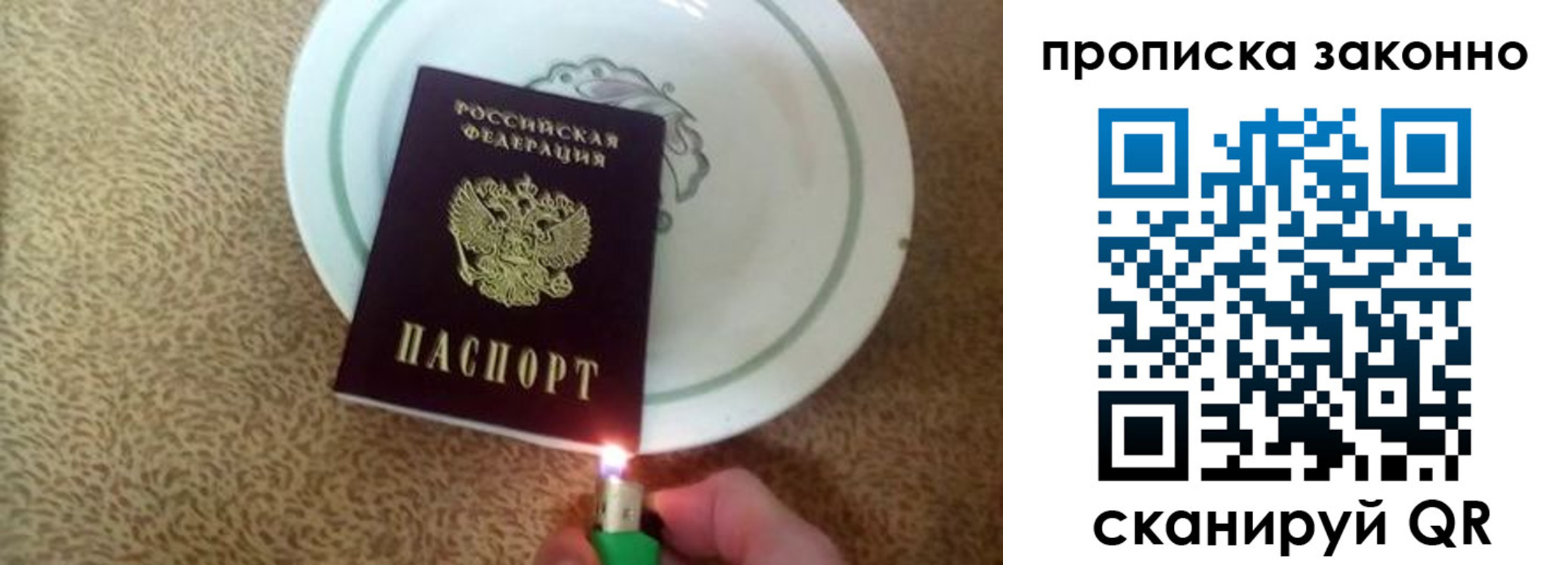 прописка поиск в Светлом